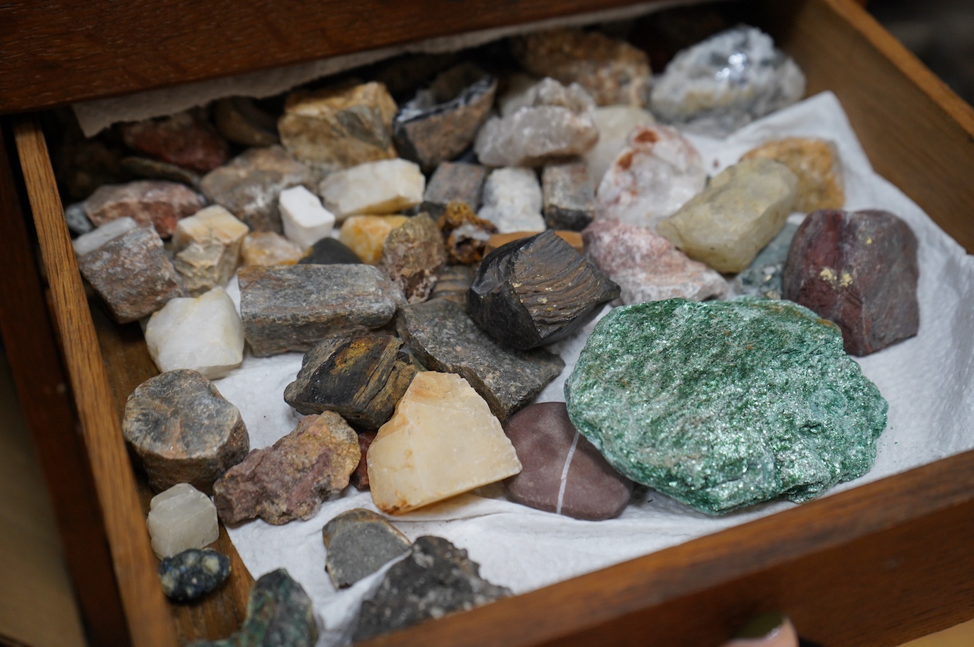 A collection of shells, rocks and specimen stones including; coral fragments, ammonites, quartz samples and other minerals, an echinoid, a selection of shells and a few reference books, most contained within two collecto